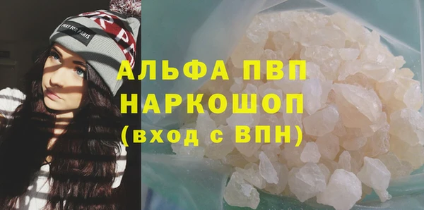 гидра Корсаков