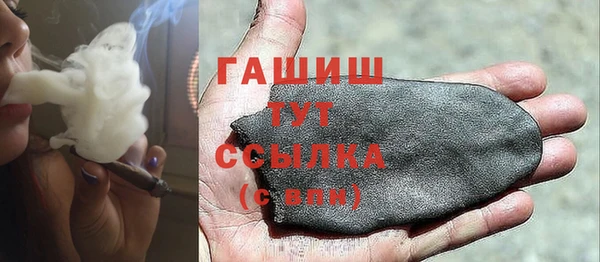 гидра Корсаков