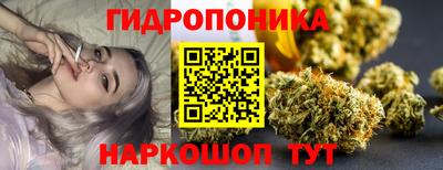 альфа пвп Кингисепп