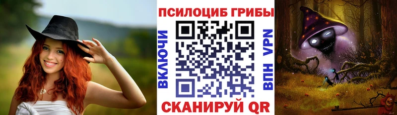 дарнет шоп  Михайловка  Галлюциногенные грибы MAGIC MUSHROOMS 