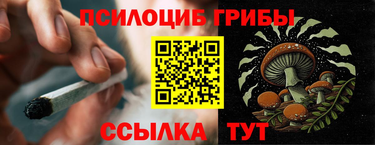 Галлюциногенные грибы мухоморы  закладки  Михайловка  Вход с VPN 