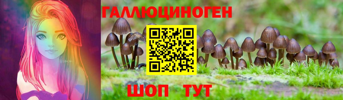 Галлюциногенные грибы ЛСД Михайловка